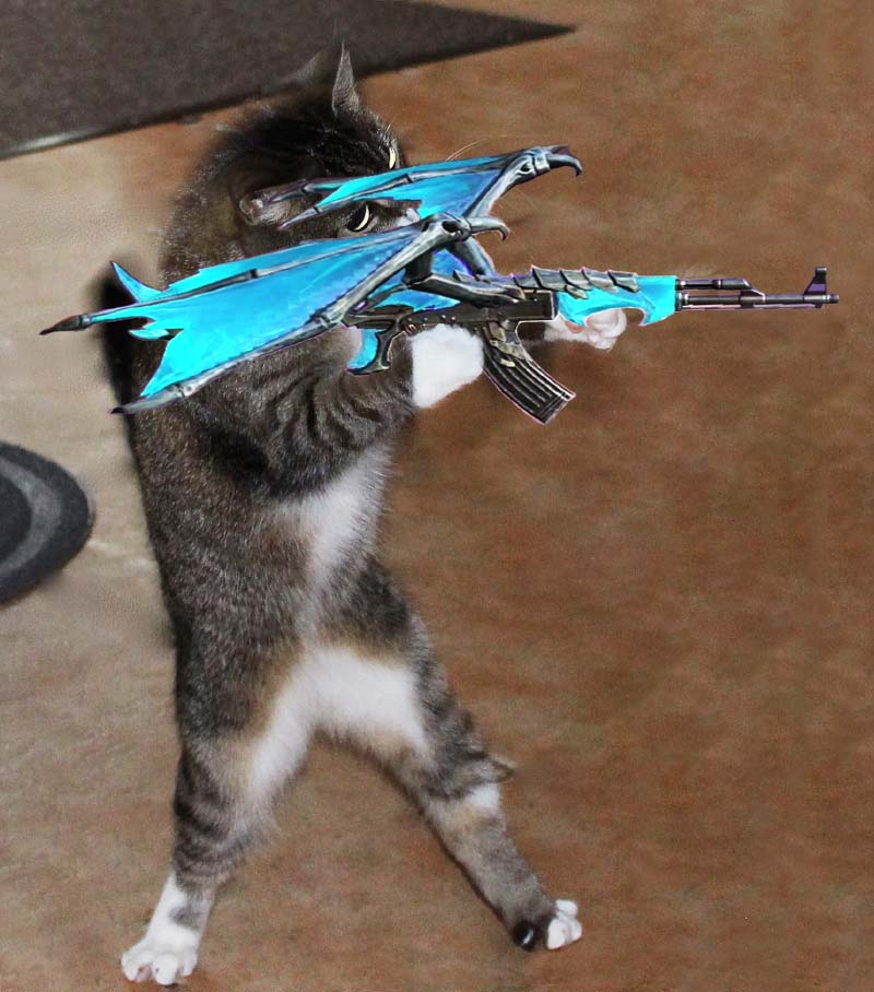 Hình ảnh mèo cầm AK rồng xanh FF nhắm bắn