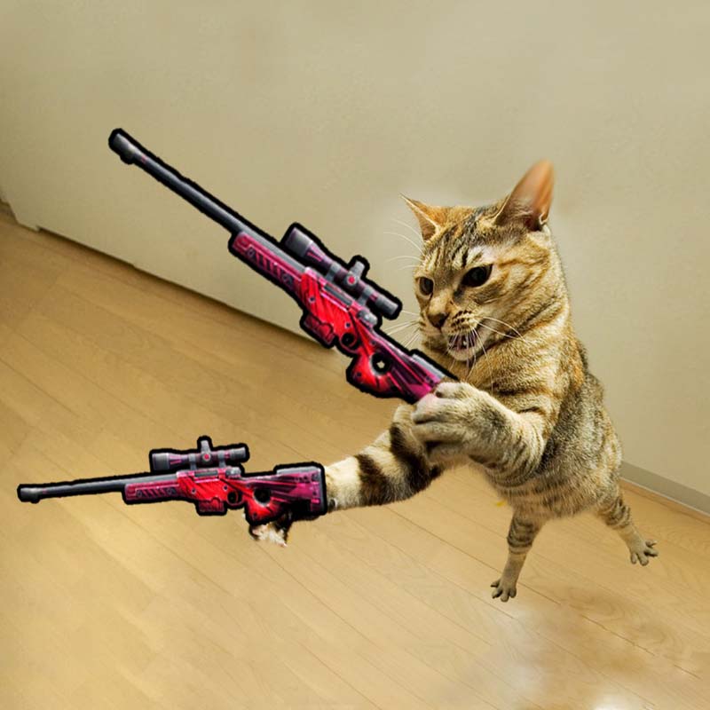 Hình ảnh chế mèo cầm súng FF đẹp nhất
