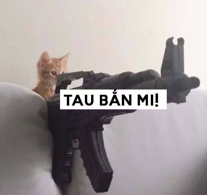 Meme mèo cầm súng tau bắn mi